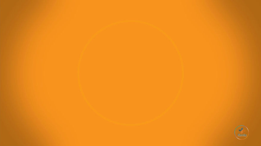 Veeva Vault RIM Submission Viewer Training Demo